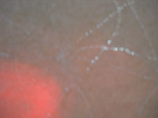 48.tag3 - 1332048.1