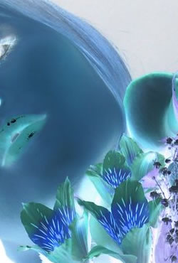 gender_t.jpg - 1428526.1 gender_t.jpg - 1428526.1